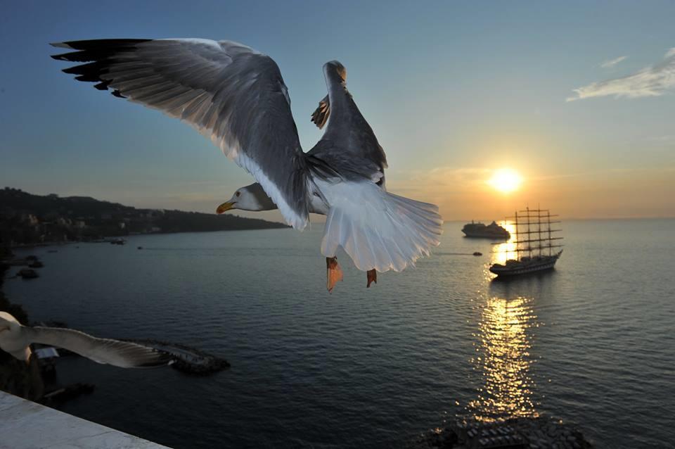 Sorrento Coast Relais Hotel Meta Luaran gambar
